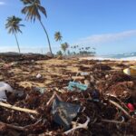 Oceany czy wysypiska śmieci?