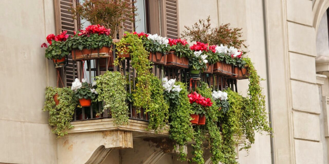 Ogród na balkonie w bloku – jak go założyć i dlaczego warto to zrobić?