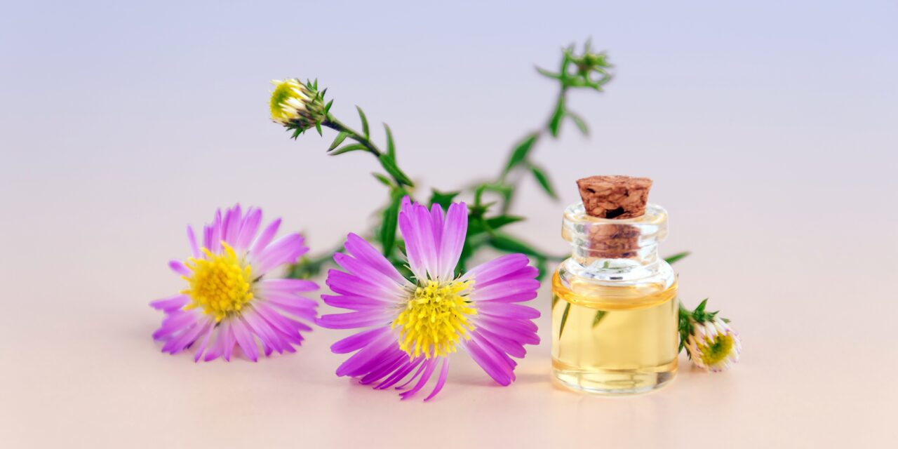 Rośliny kosmetyczne. Jakich składników warto szukać w naturalnych kosmetykach?