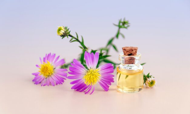 Rośliny kosmetyczne. Jakich składników warto szukać w naturalnych kosmetykach?